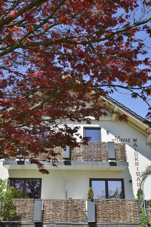 Pension Waldkristall Frauenau Exterior photo
