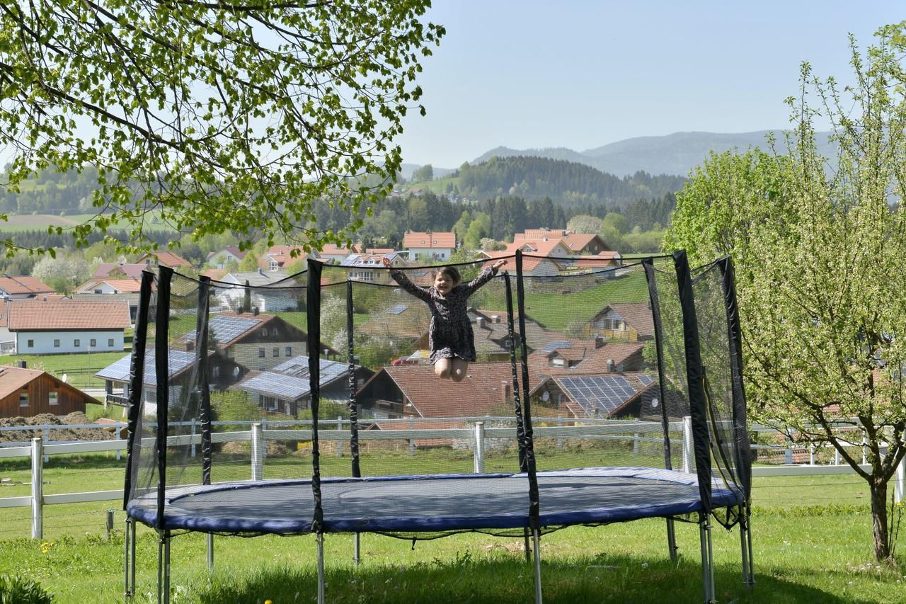 Pension Waldkristall Frauenau Exterior photo